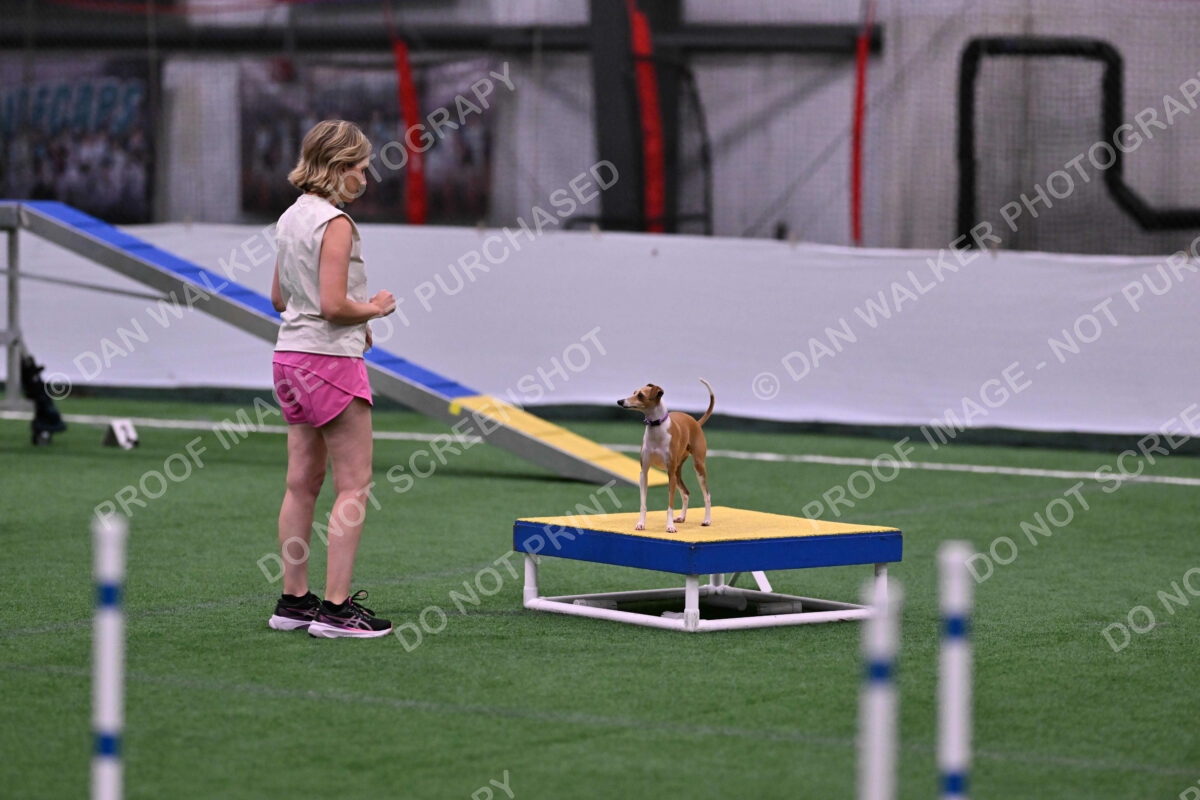 Nori-Tia-Lindeman-09545