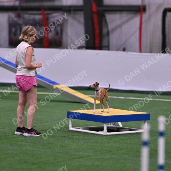 Nori-Tia-Lindeman-09545