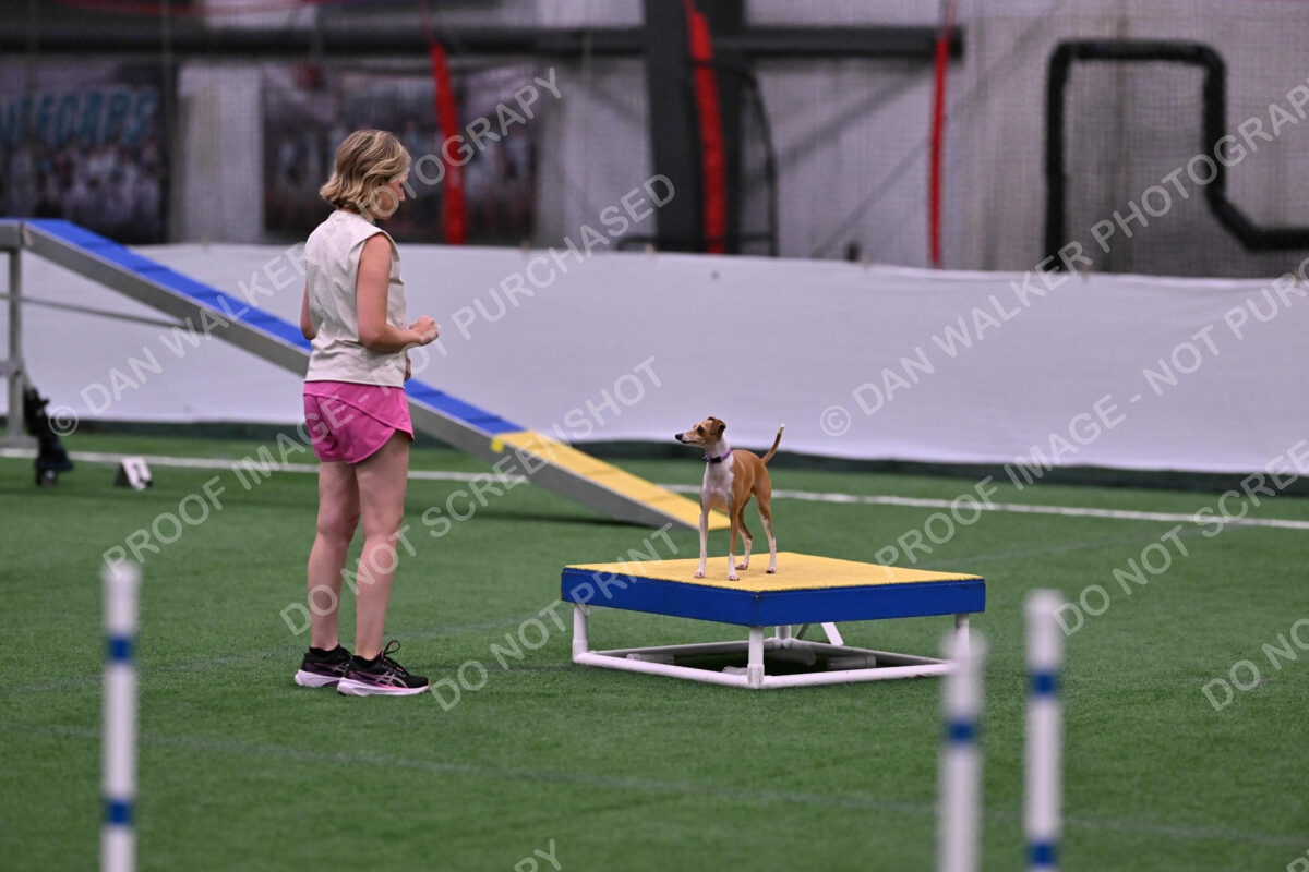 Nori-Tia-Lindeman-09546