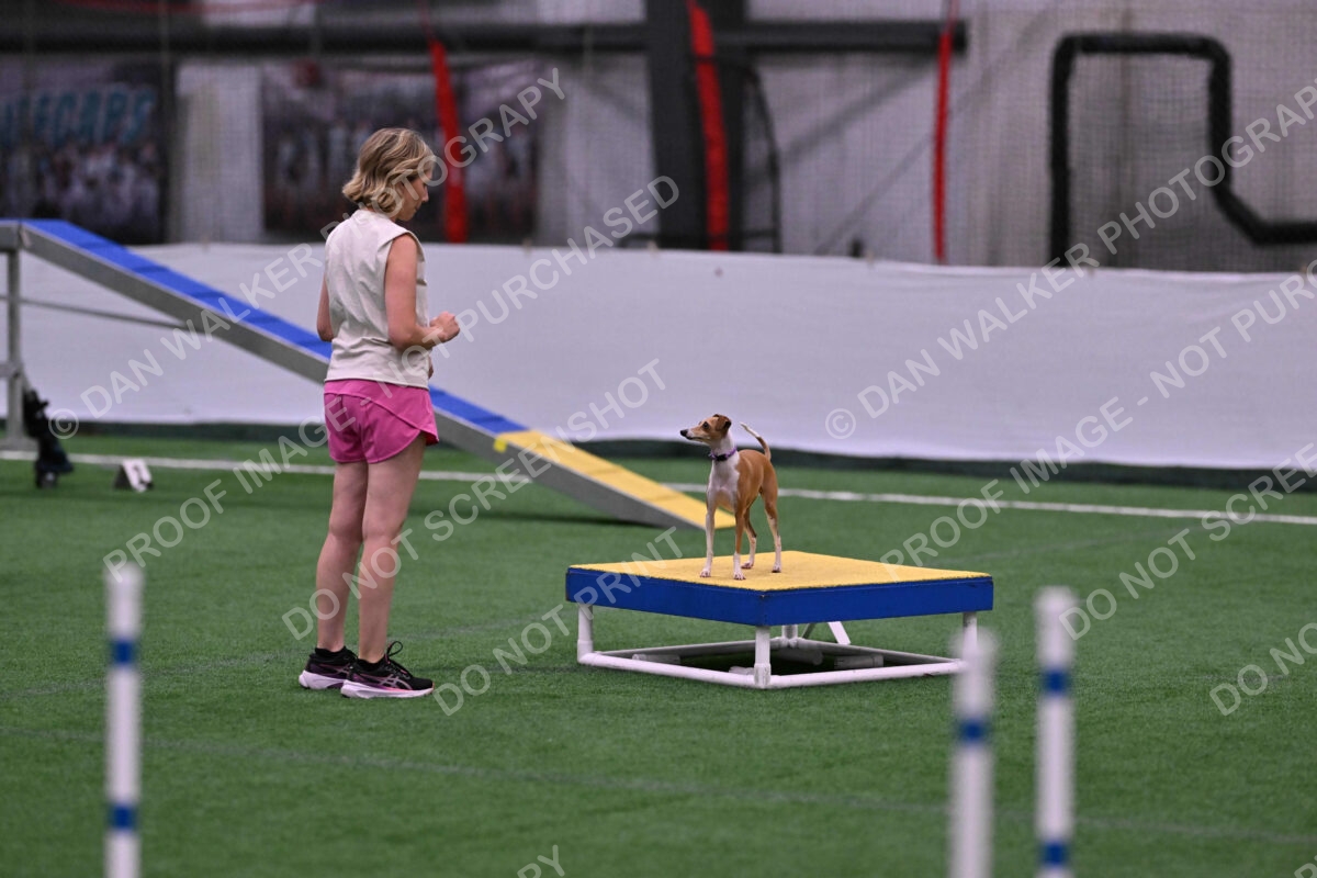 Nori-Tia-Lindeman-09550