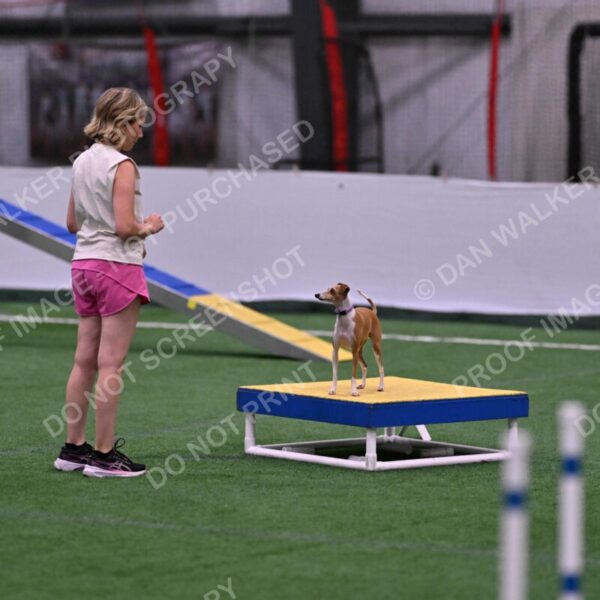 Nori-Tia-Lindeman-09550