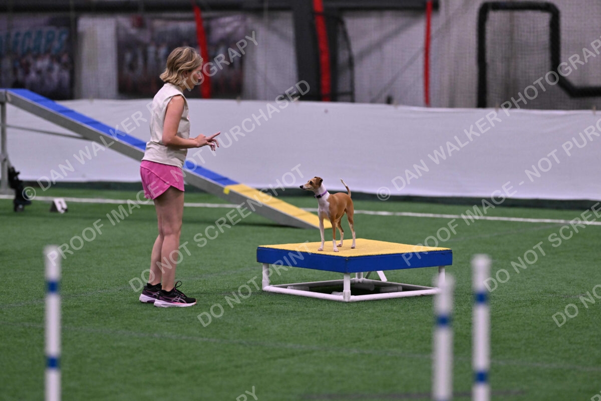 Nori-Tia-Lindeman-09557