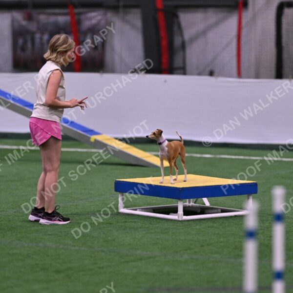 Nori-Tia-Lindeman-09557