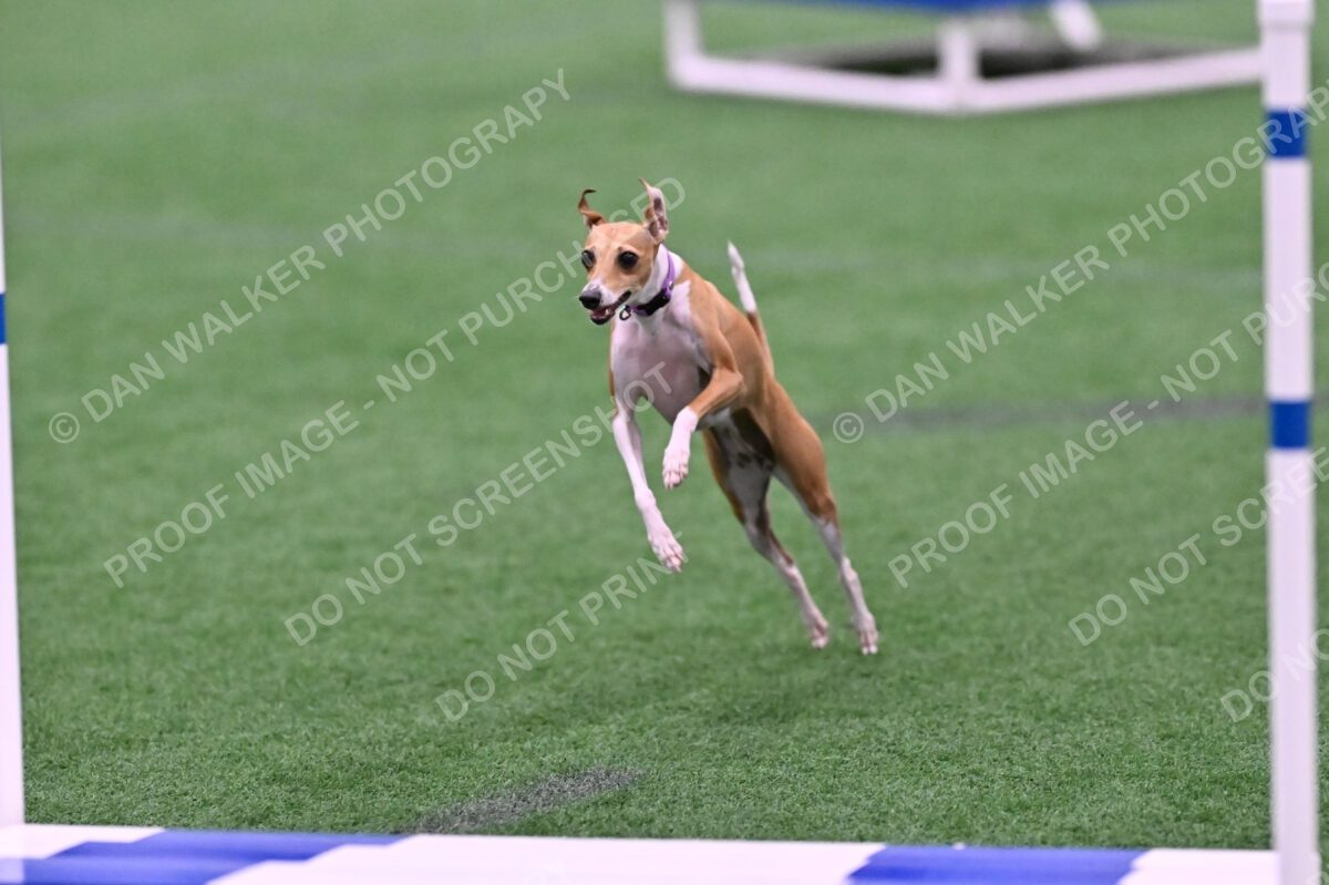 Nori-Tia-Lindeman-09560