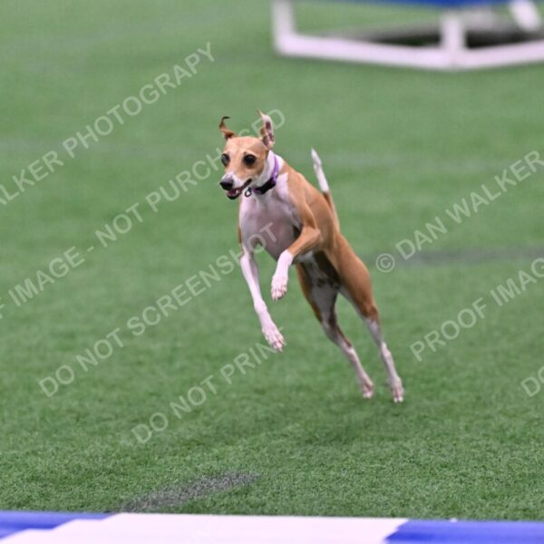 Nori-Tia-Lindeman-09560