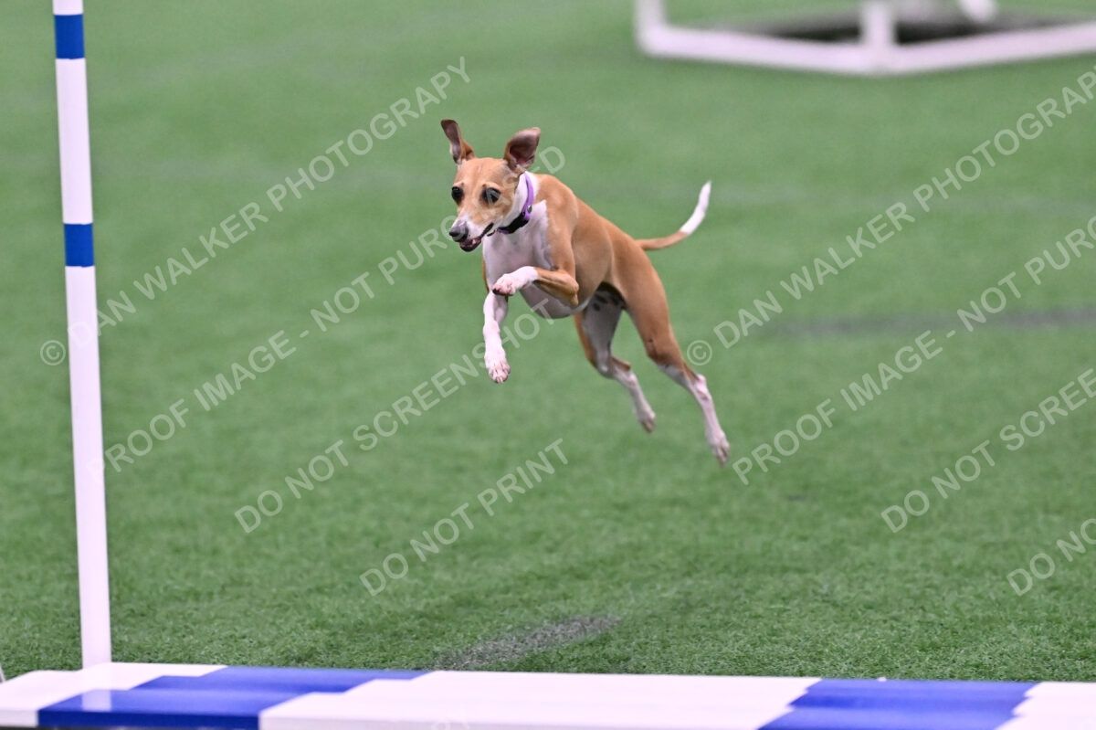 Nori-Tia-Lindeman-09561