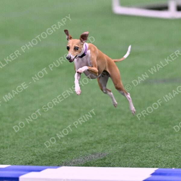 Nori-Tia-Lindeman-09561