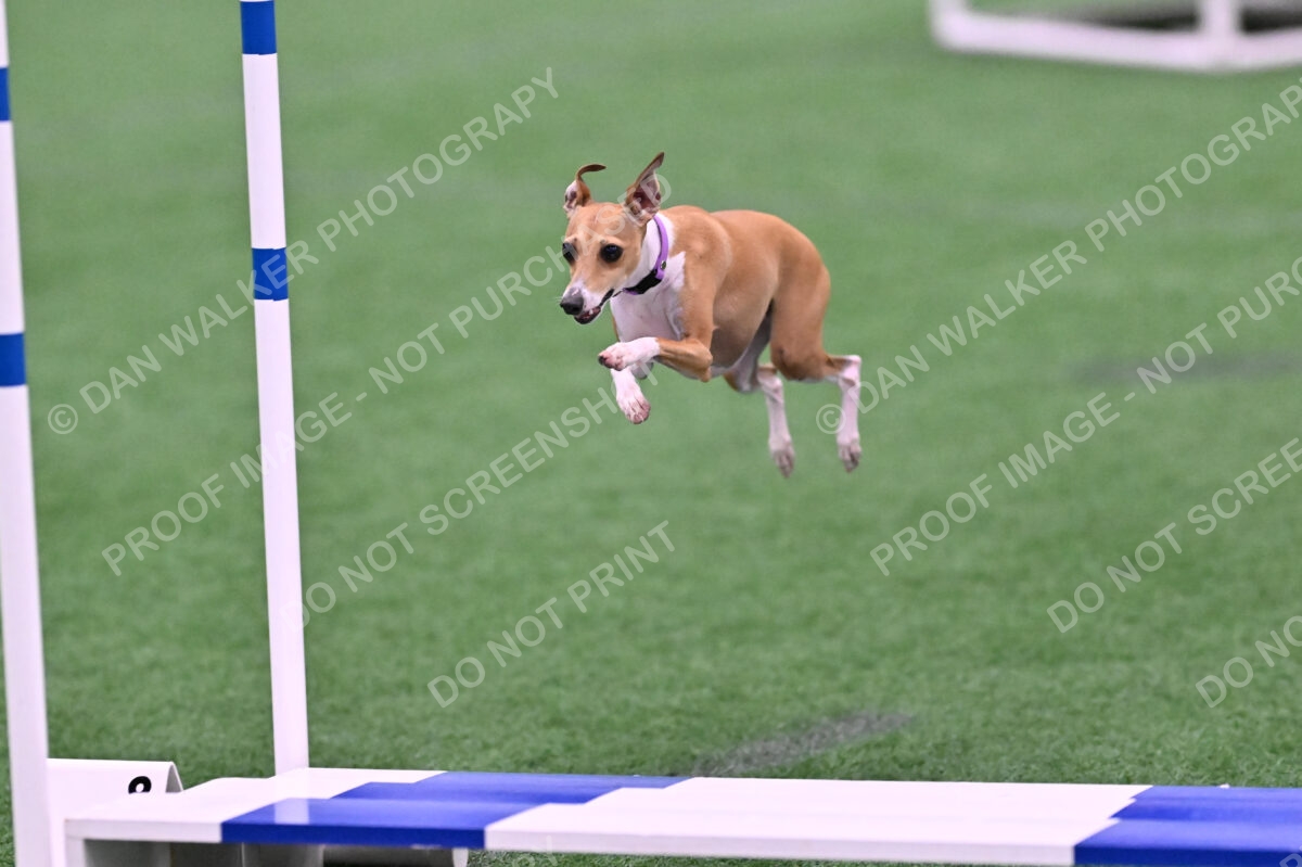 Nori-Tia-Lindeman-09562