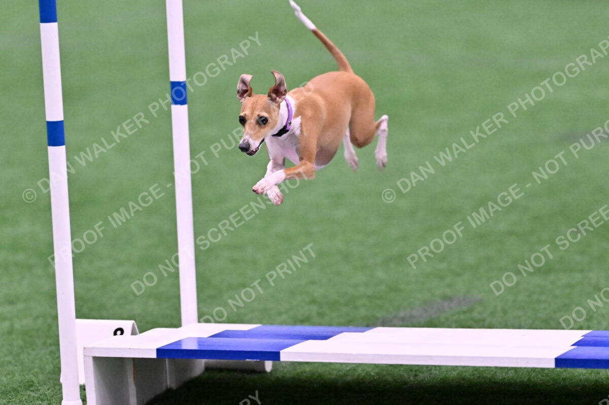 Nori-Tia-Lindeman-09563