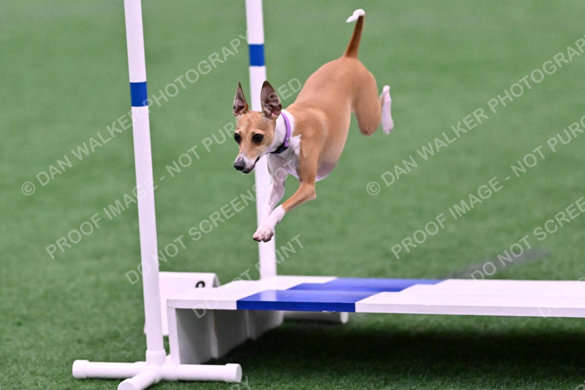 Nori-Tia-Lindeman-09564