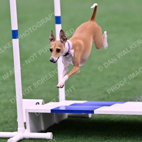 Nori-Tia-Lindeman-09564