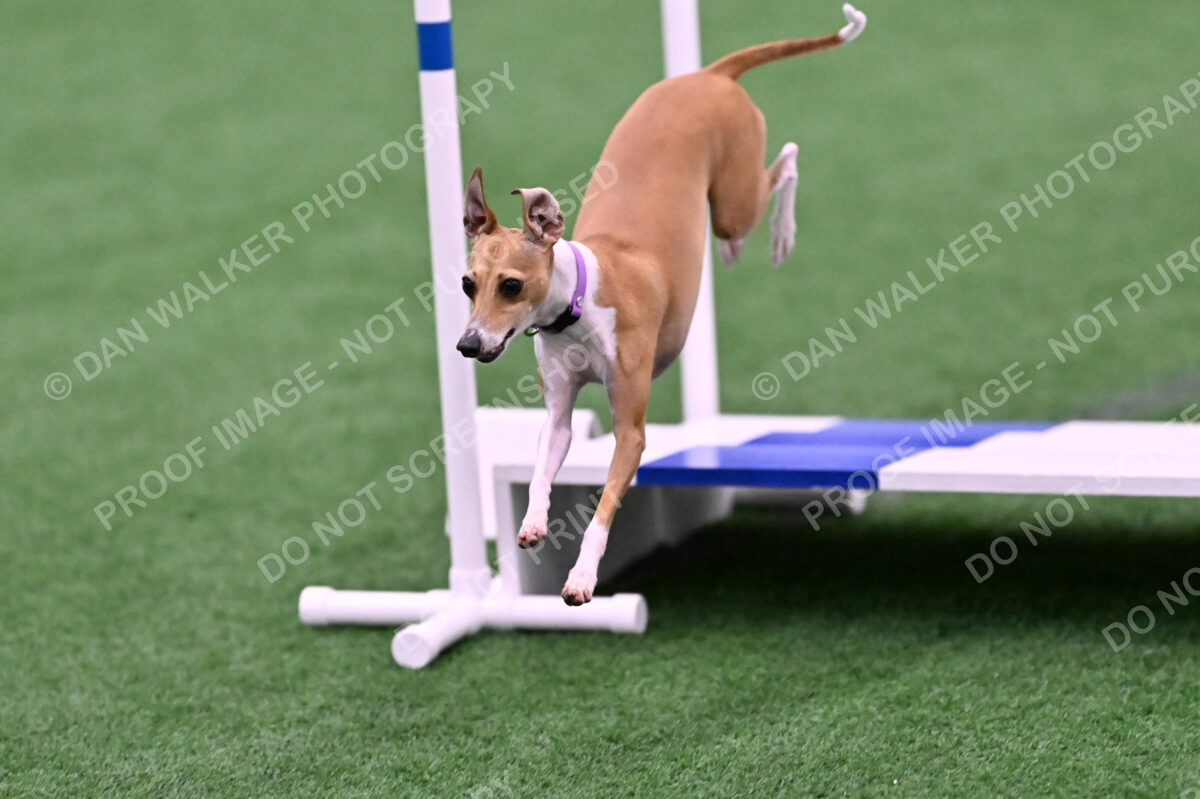 Nori-Tia-Lindeman-09565