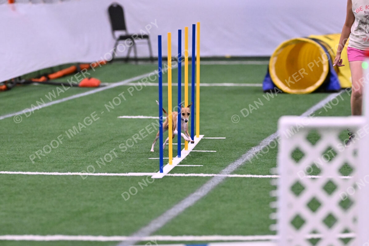 Nori-Tia-Lindeman-09571