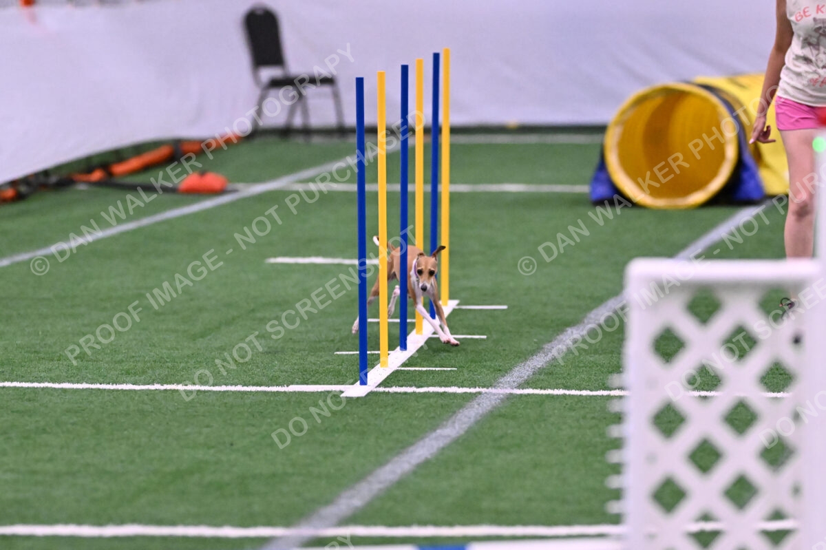 Nori-Tia-Lindeman-09572