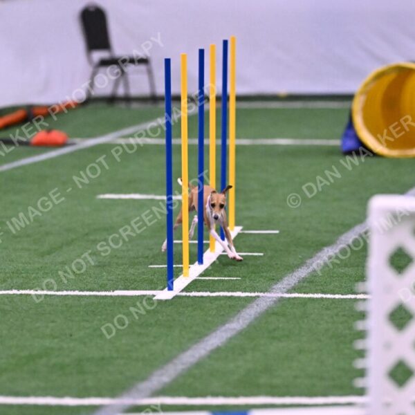 Nori-Tia-Lindeman-09572