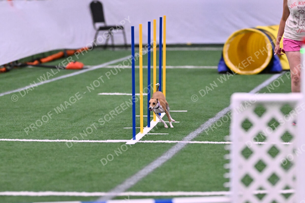 Nori-Tia-Lindeman-09573