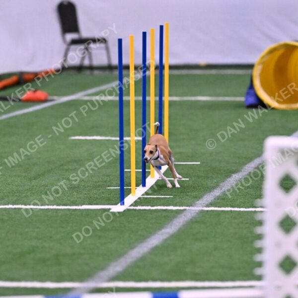 Nori-Tia-Lindeman-09573