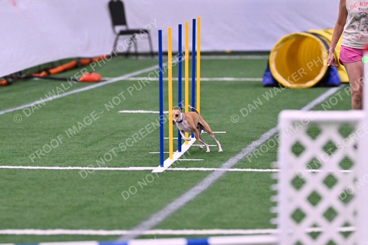 Nori-Tia-Lindeman-09574