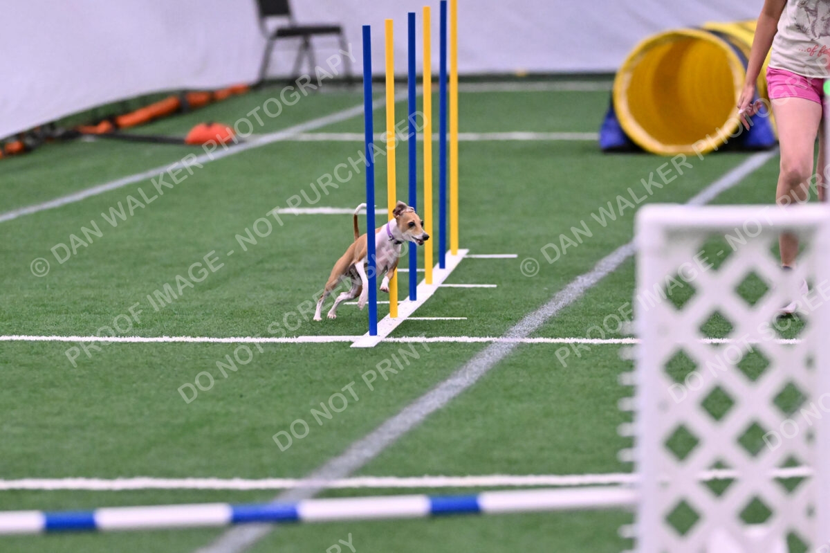 Nori-Tia-Lindeman-09578