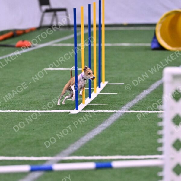 Nori-Tia-Lindeman-09578