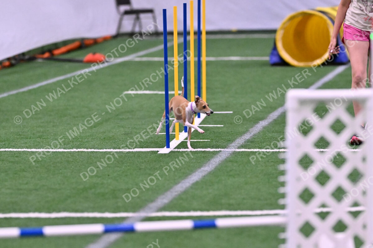 Nori-Tia-Lindeman-09579