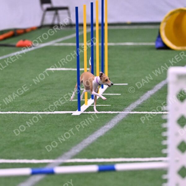 Nori-Tia-Lindeman-09579