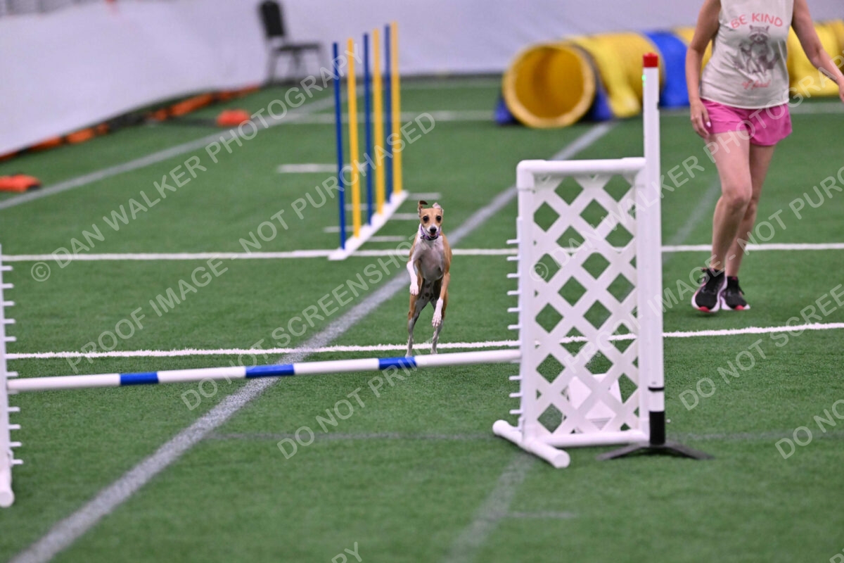 Nori-Tia-Lindeman-09583