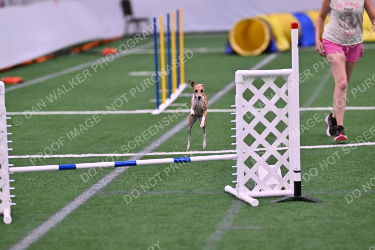 Nori-Tia-Lindeman-09584