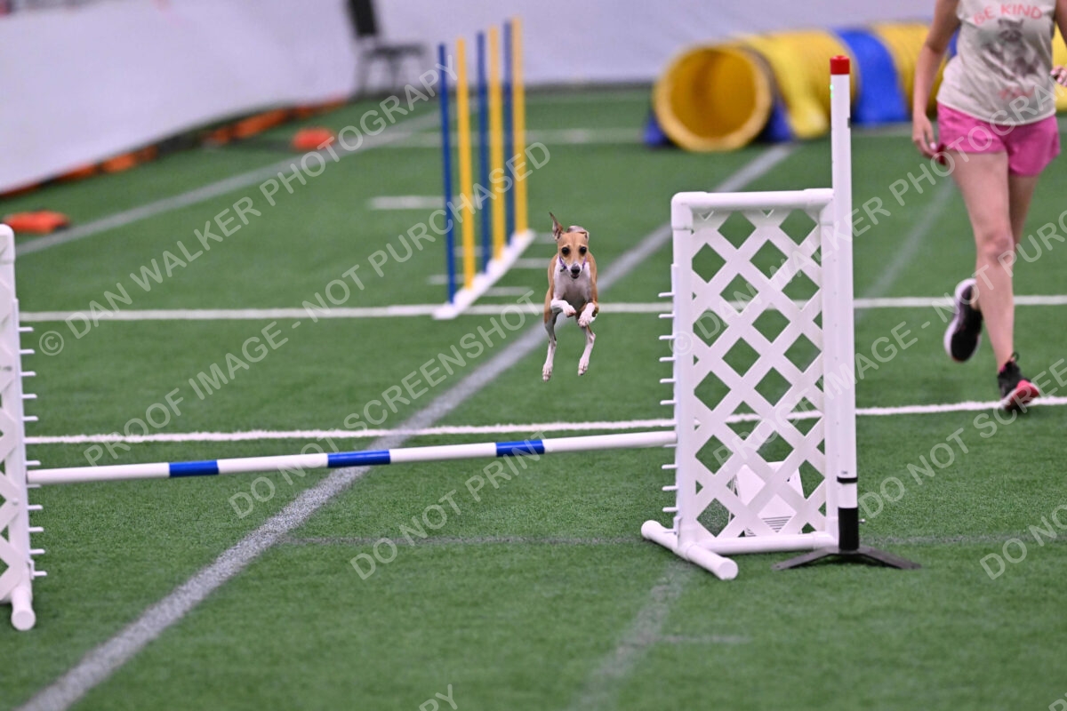 Nori-Tia-Lindeman-09585