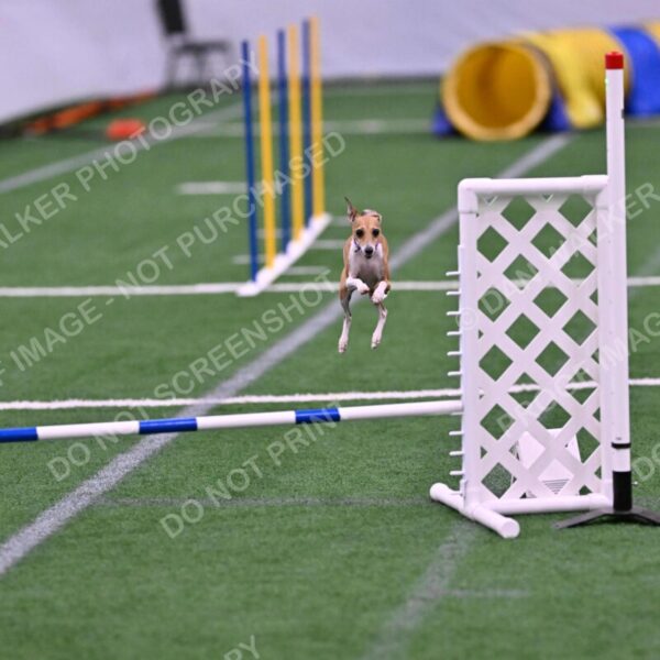 Nori-Tia-Lindeman-09585