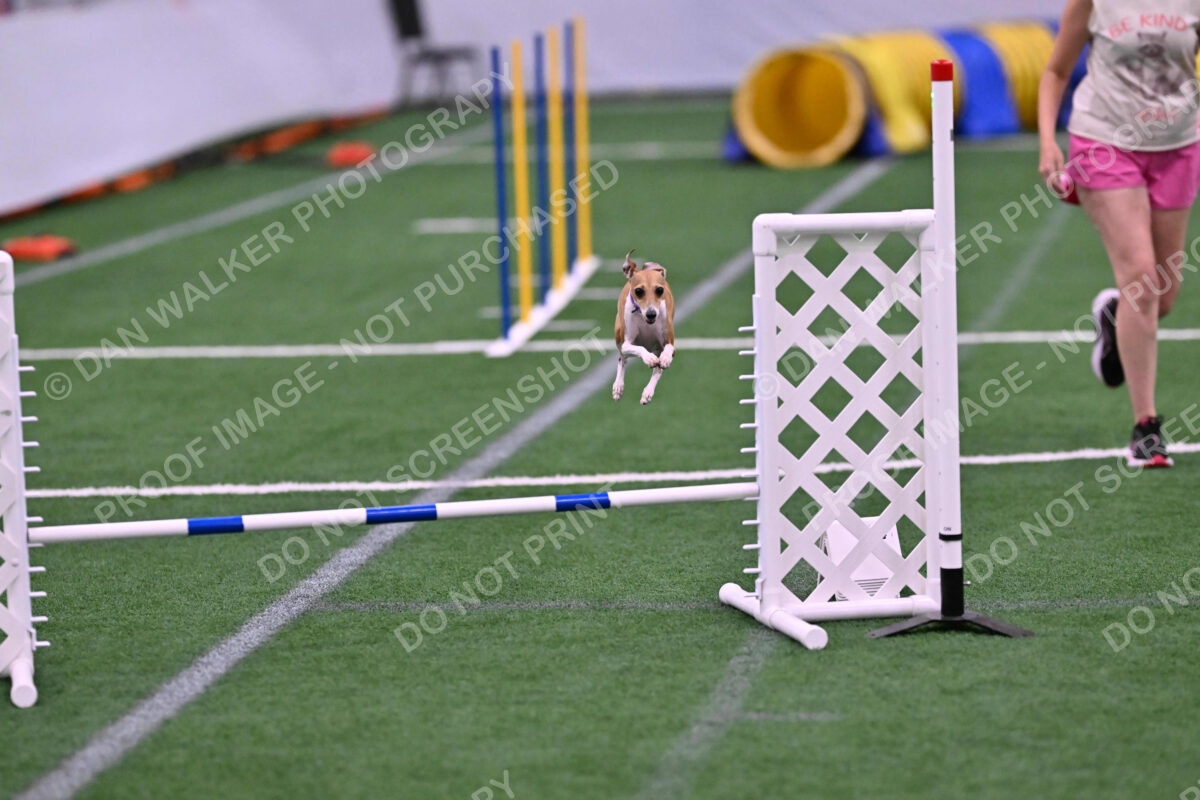 Nori-Tia-Lindeman-09586