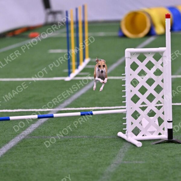 Nori-Tia-Lindeman-09586