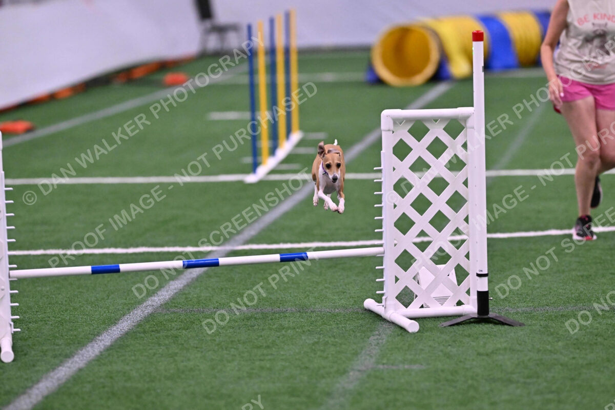 Nori-Tia-Lindeman-09587