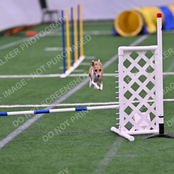 Nori-Tia-Lindeman-09587