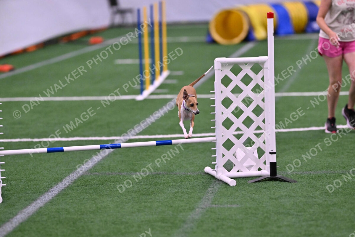 Nori-Tia-Lindeman-09588