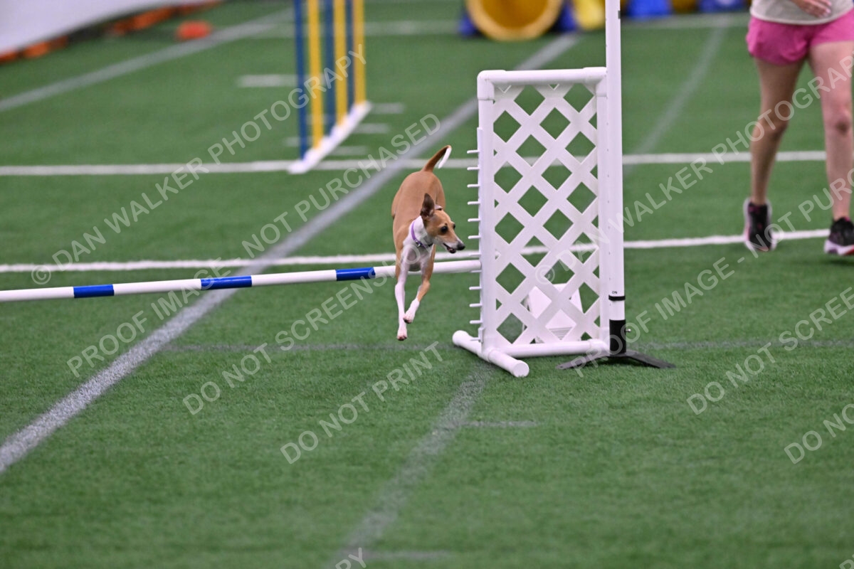 Nori-Tia-Lindeman-09589