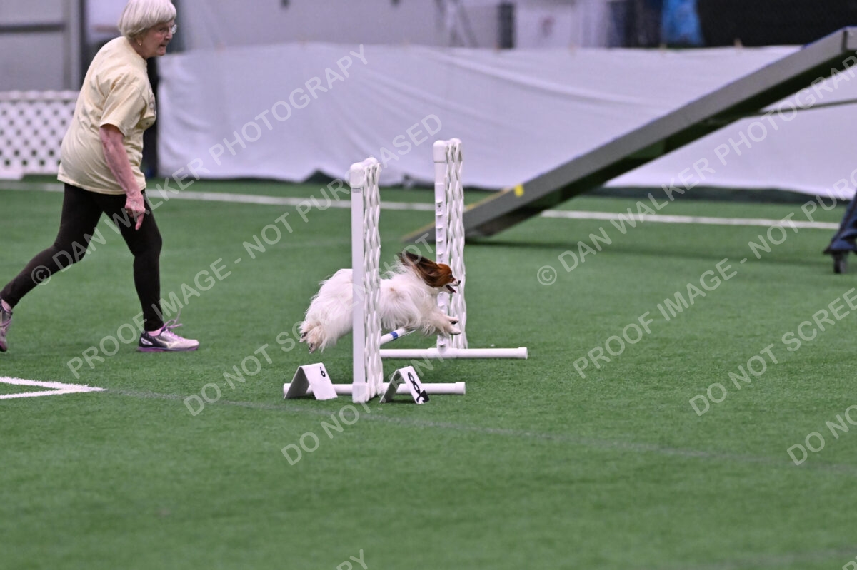 Prize-Sharon-Rooks-06463