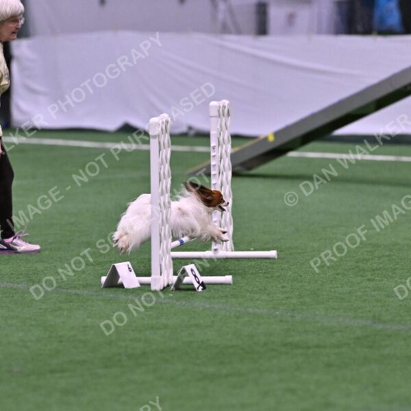 Prize-Sharon-Rooks-06463