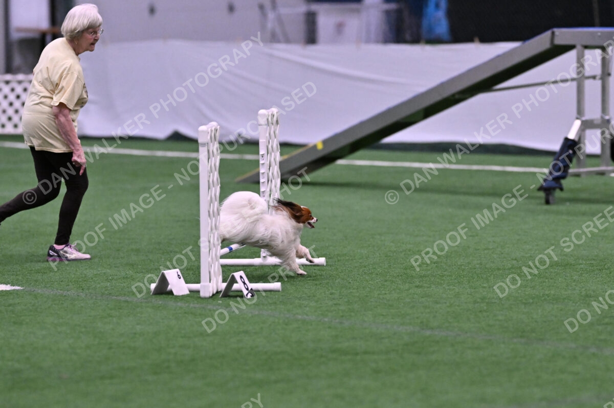 Prize-Sharon-Rooks-06464