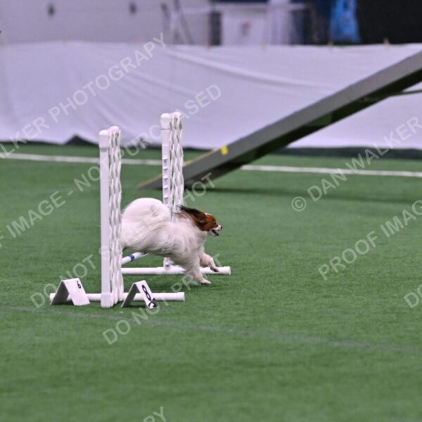 Prize-Sharon-Rooks-06464