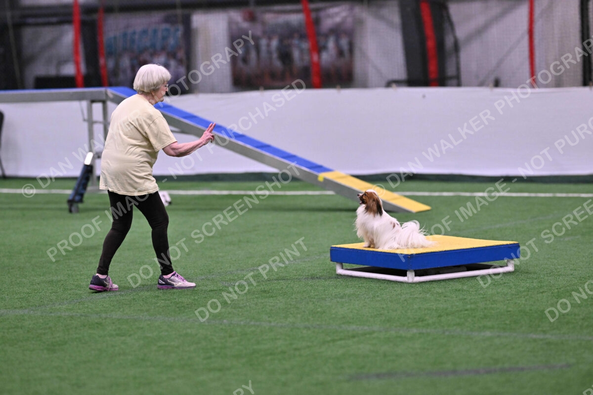 Prize-Sharon-Rooks-06466