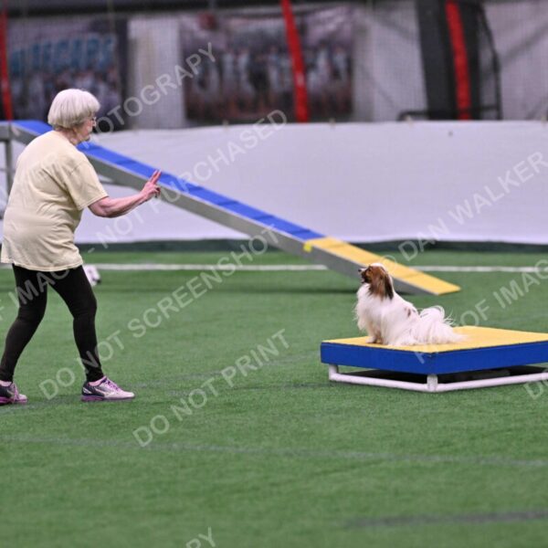 Prize-Sharon-Rooks-06466