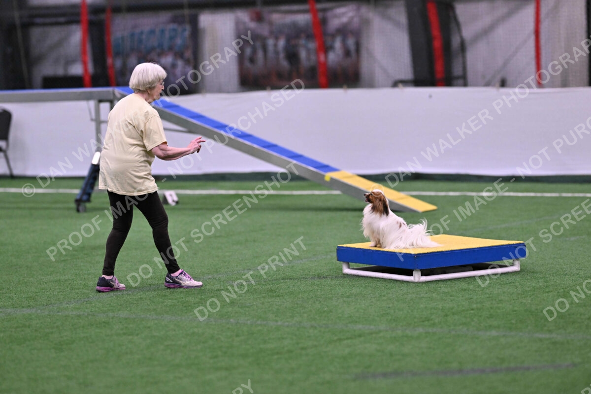 Prize-Sharon-Rooks-06467