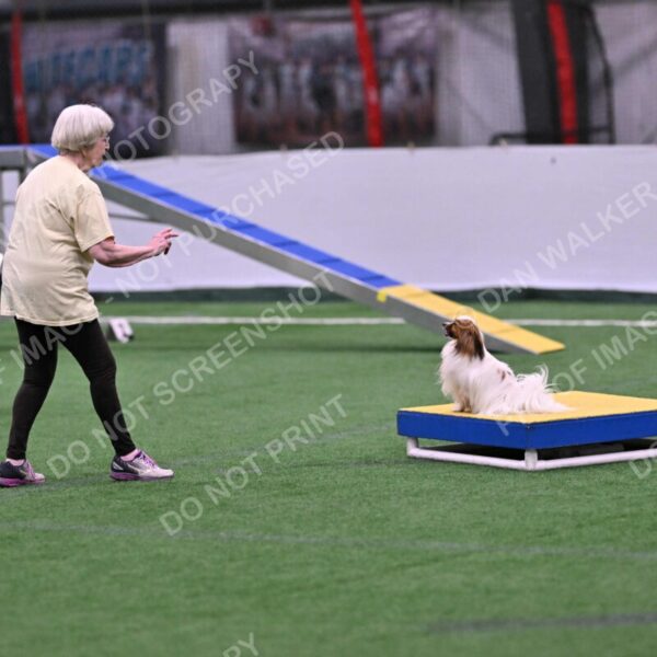 Prize-Sharon-Rooks-06467