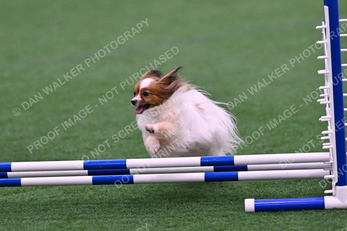 Prize-Sharon-Rooks-06470