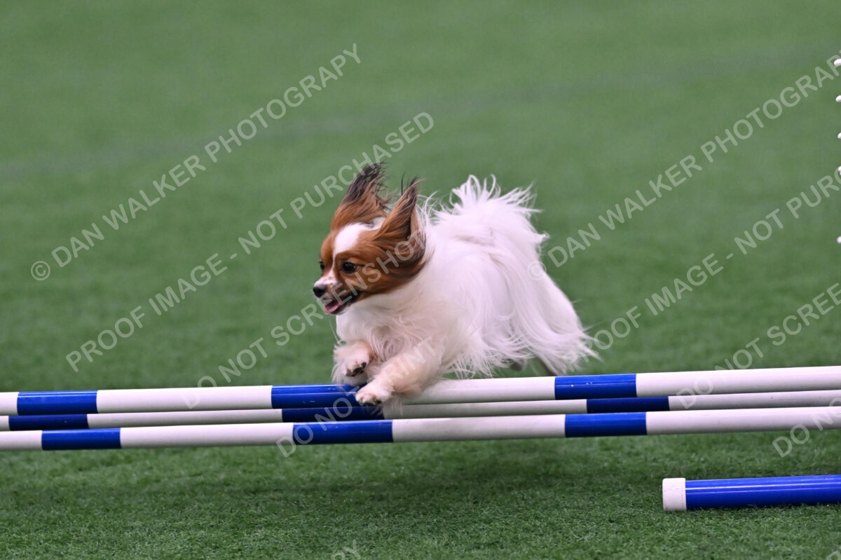 Prize-Sharon-Rooks-06471