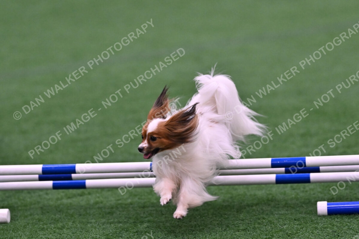 Prize-Sharon-Rooks-06472