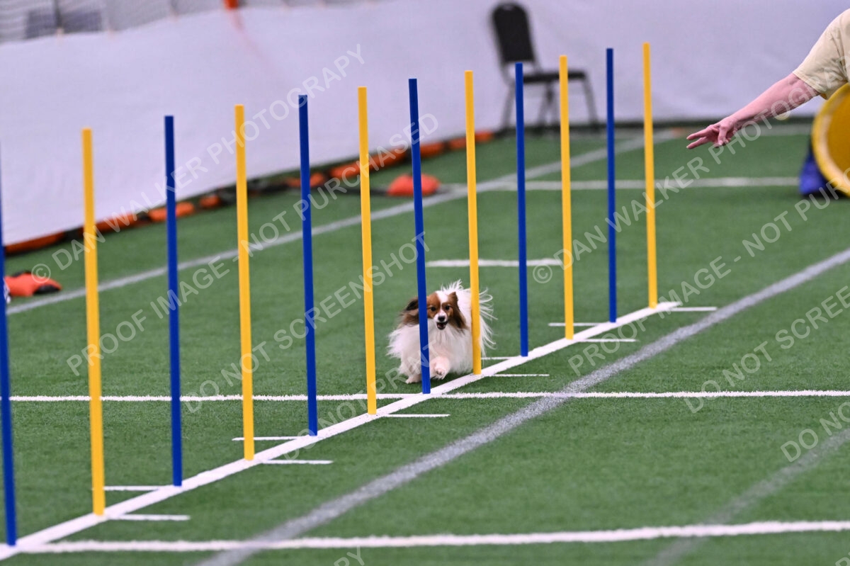 Prize-Sharon-Rooks-06473