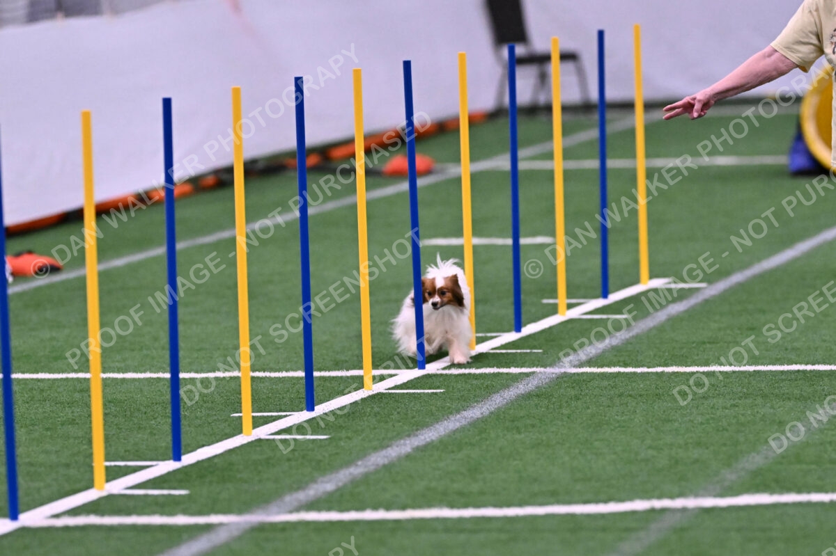 Prize-Sharon-Rooks-06474