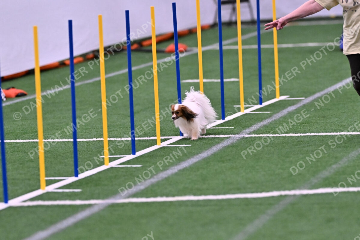 Prize-Sharon-Rooks-06476